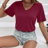 Sf6c31a0a95184303b69b41a8493dbea0l.webp Soft V Neck Short Sleeve T-Shirt, Breathable Stretchy Basic Tee for Women, Casual Summer Wardrobe Essential Blouse